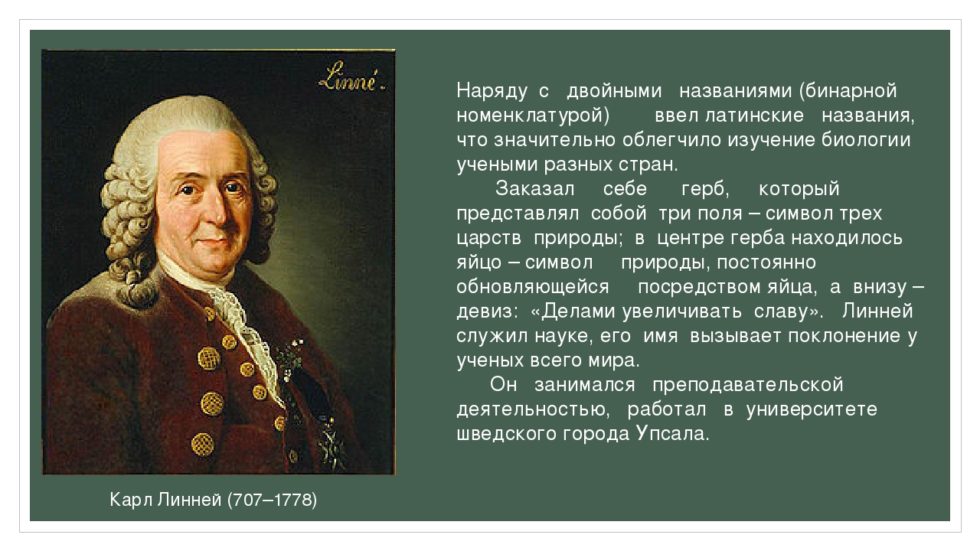 Двойные названия. Линней ввел бинарную номенклатуру. К. Линней - бинарная номенклатура. Ученый который ввел бинарную номенклатуру. Карл Линней предложил бинарную номенклатуру.